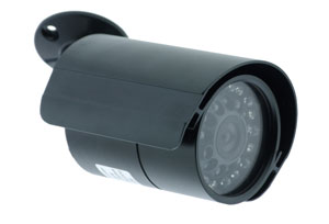 professional Indoor/outdoor color infrared security camera